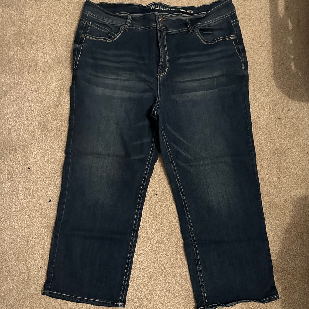 Like New Women’s Plus Size 24 Short Wallflower Curvy Fit Jeans